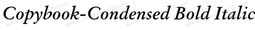 Copybook-Condensed Bold Italic字体转换